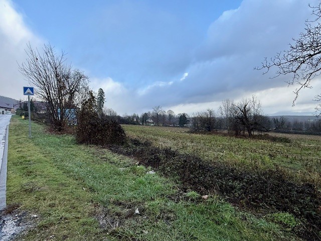 FARGES 01550, NOUVEAU LOTISSEMENT DE TERRAINS A BATIR ! — photo 4