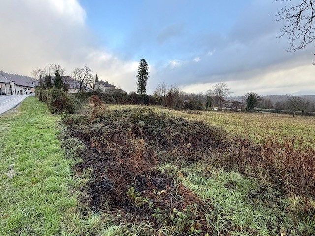 FARGES 01550, NOUVEAU LOTISSEMENT DE TERRAINS A BATIR ! — photo 6