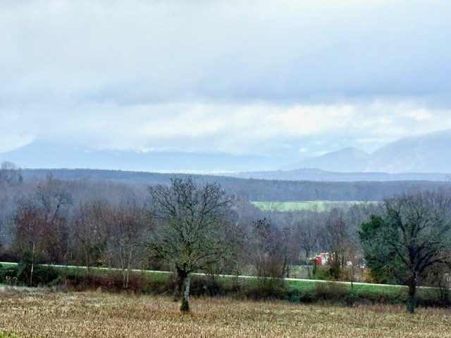 FARGES 01550, NOUVEAU LOTISSEMENT DE TERRAINS A BATIR ! — photo 2