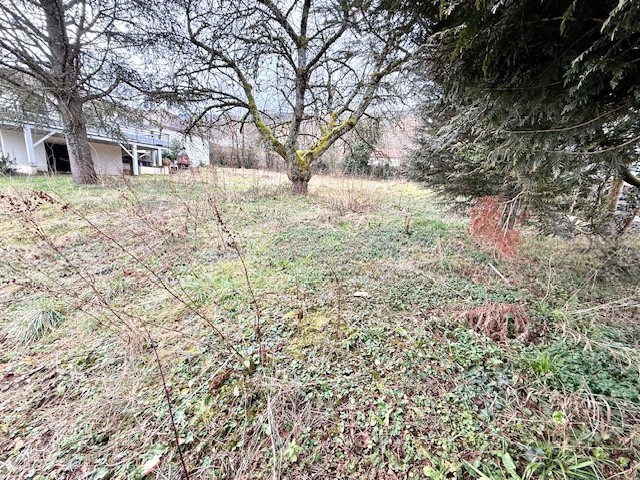 OCHIAZ-VALSERHONE 01200,TERRAIN CONSTRUCTIBLE DE 783m2, LIBRE CONSTRUCTEUR — photo 6