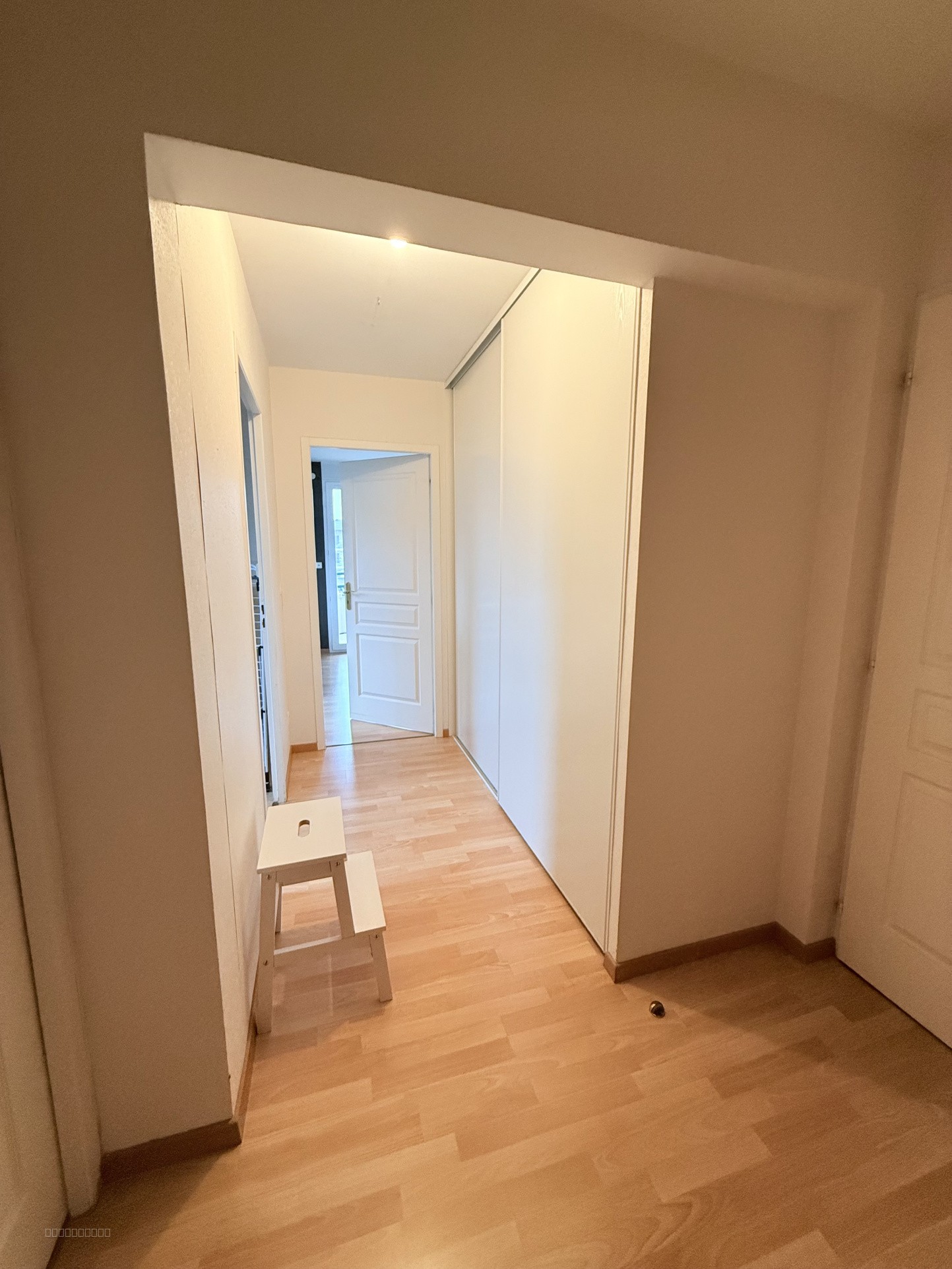 01220 Divonne-les-Bains, A LOUER Appartement T3, 3 Balcons, Cave et Garage — photo 6