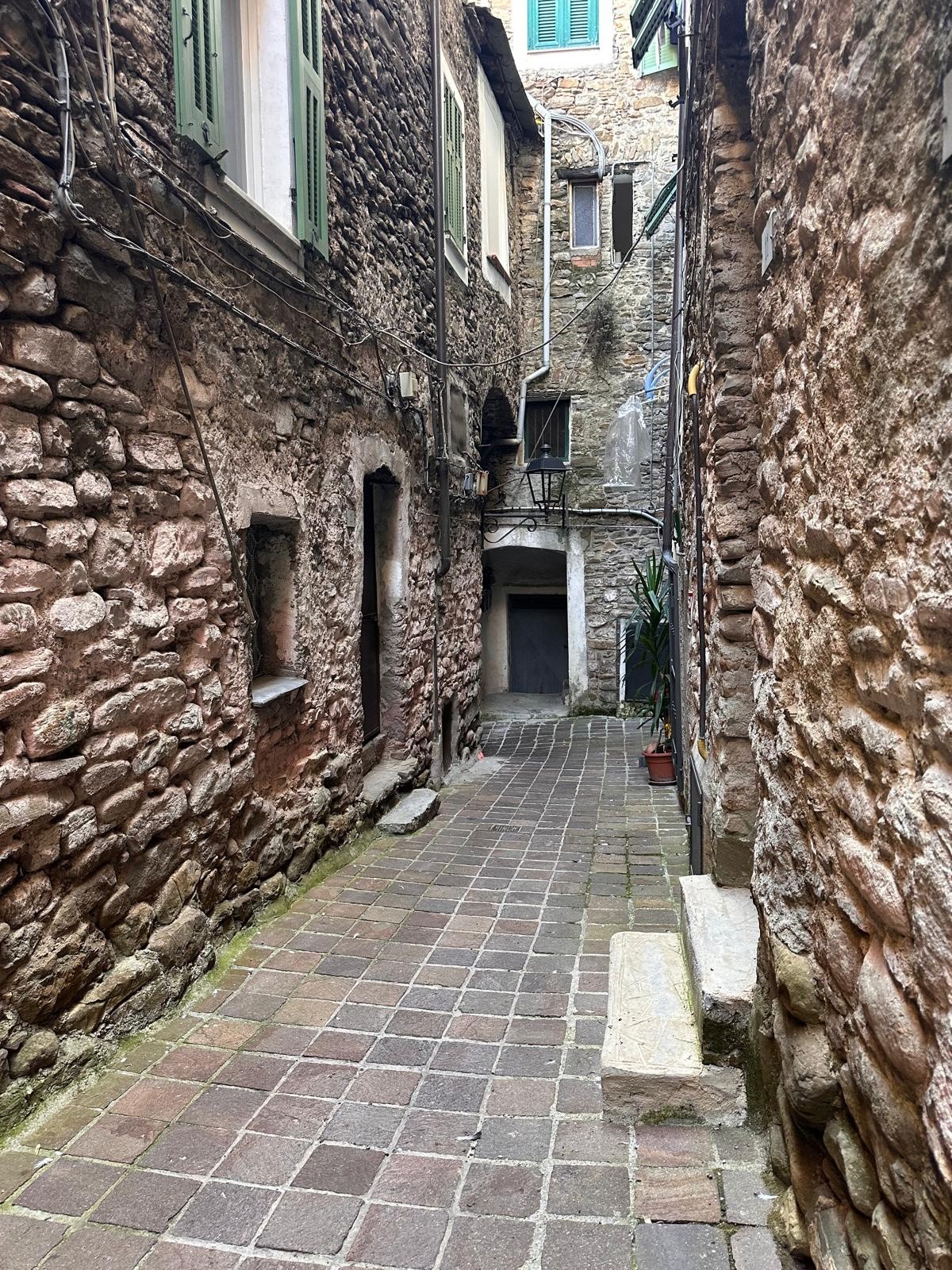 Beau potentiel pour cet appartement au cœur du village de Soldano, à visiter! — photo 10