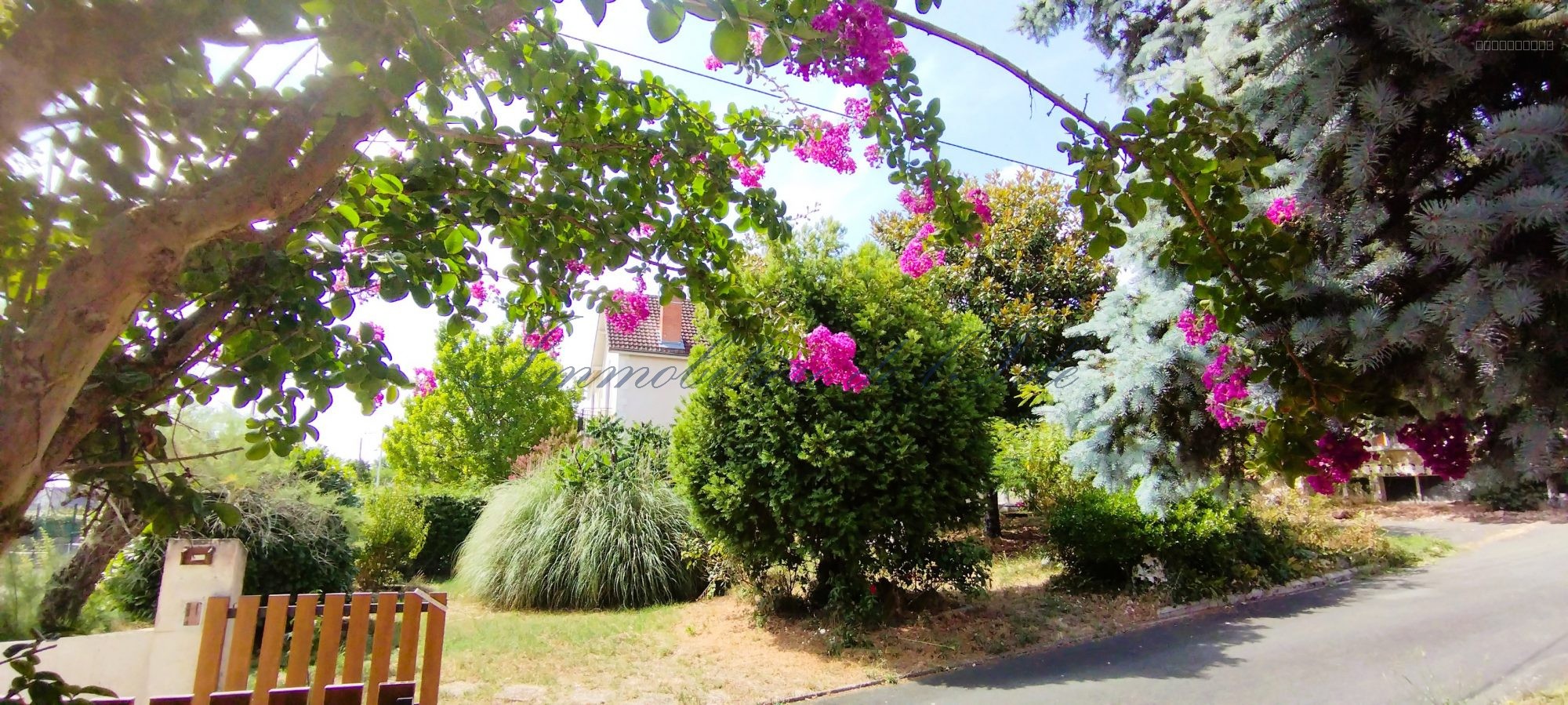 MAISON ATYPIQUE SPACIEUSE — photo 5