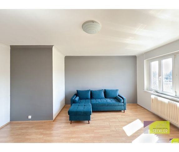 LUMINEUX APPARTEMENT 3 PIECES 83 M2 — photo 6