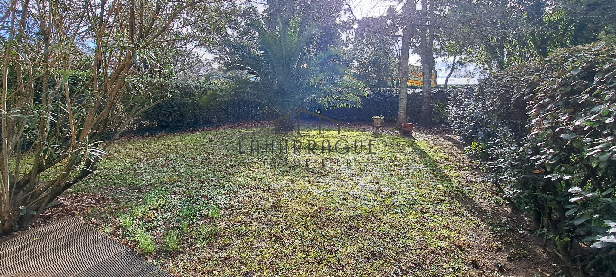 RARE, QUARTIER MONTBRUN — photo 3