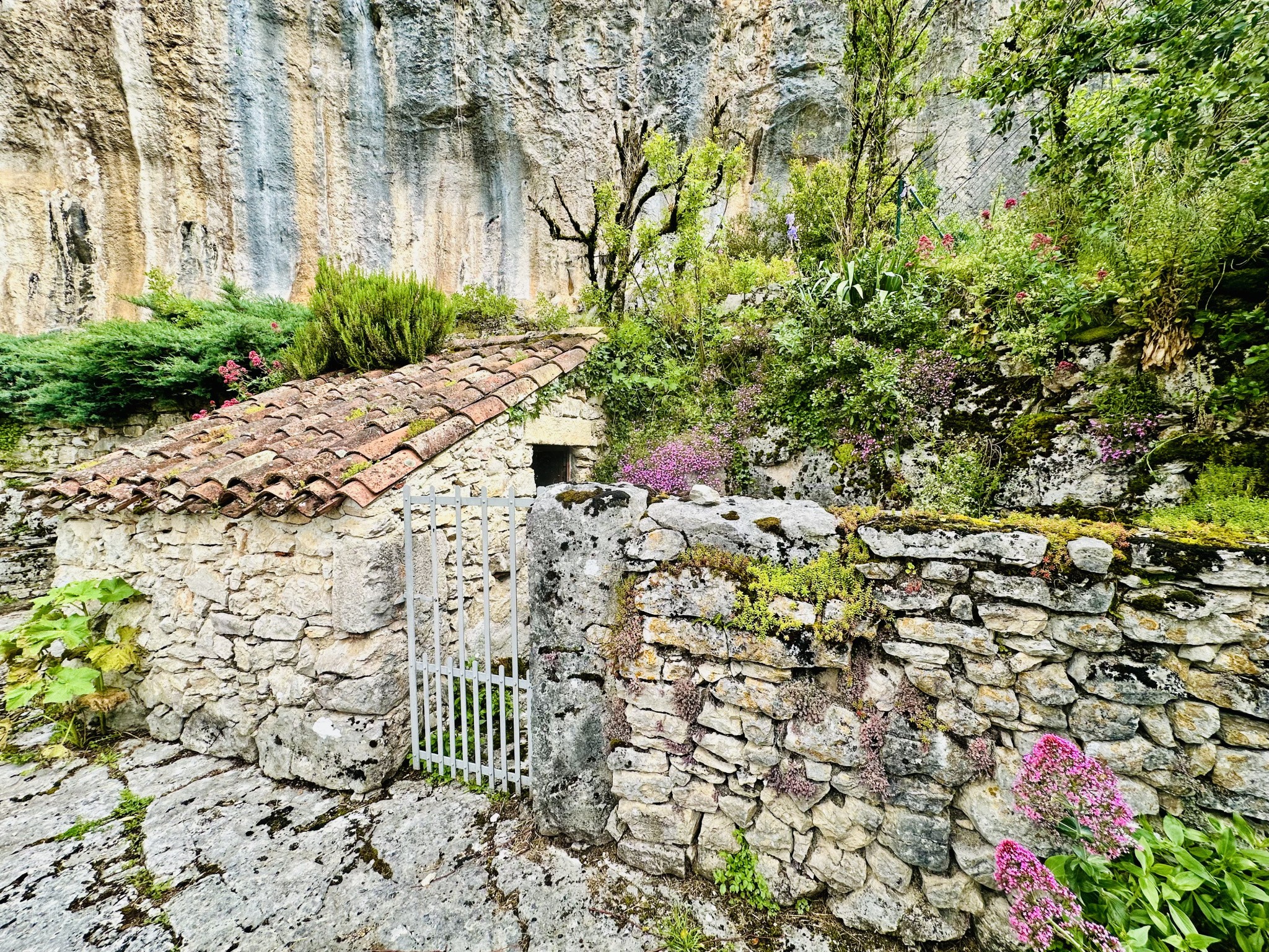 Maison de Caractère Semi-Troglodyte   Cabrerets, Vallée du Célé — photo 4
