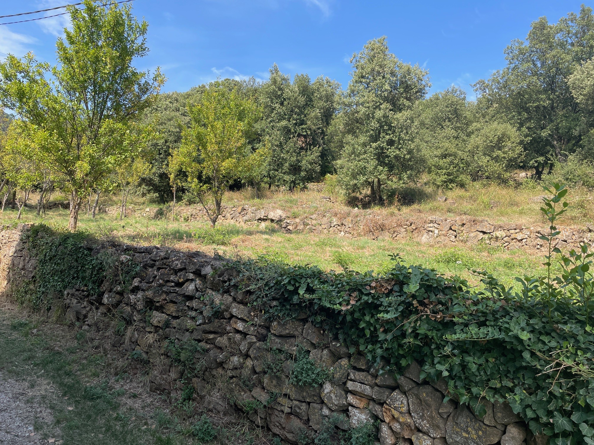 VENTE - MAS - 187 M2 - 5 PIECES - ST FOLRENT SUR AUZONNET — photo 4