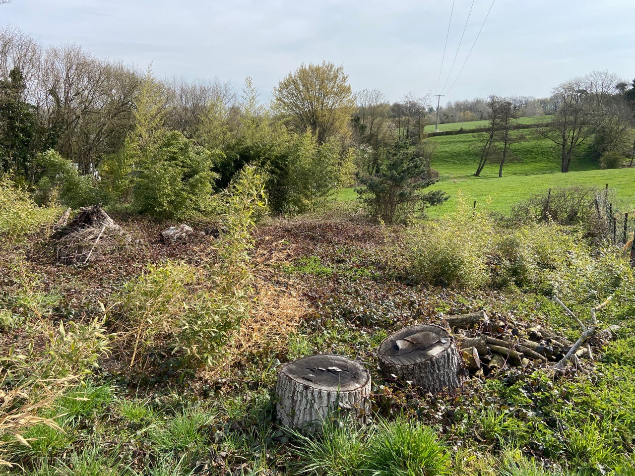 Terrain A Vendre Recquignies — photo 4