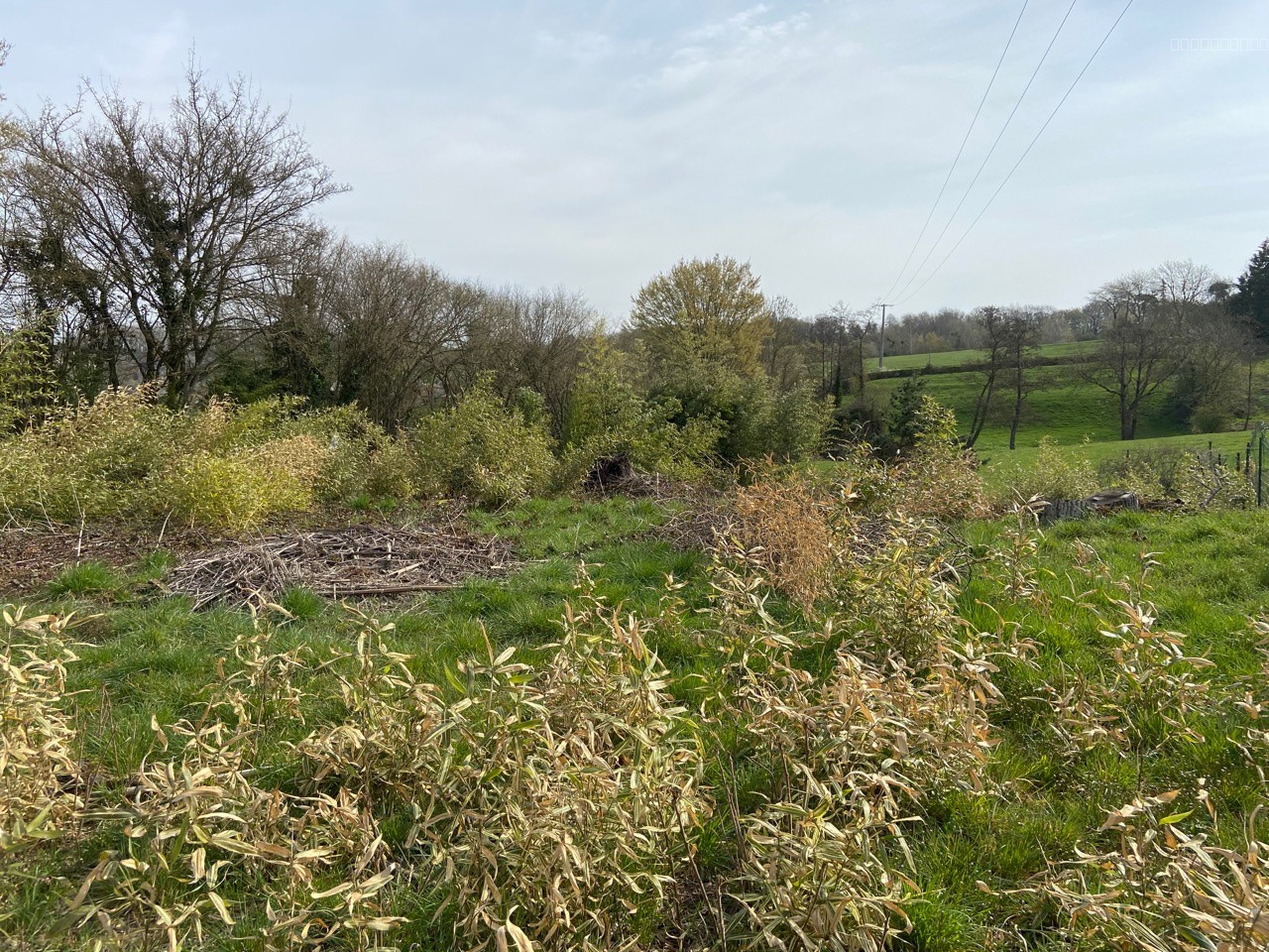 Terrain A Vendre Recquignies — photo 7