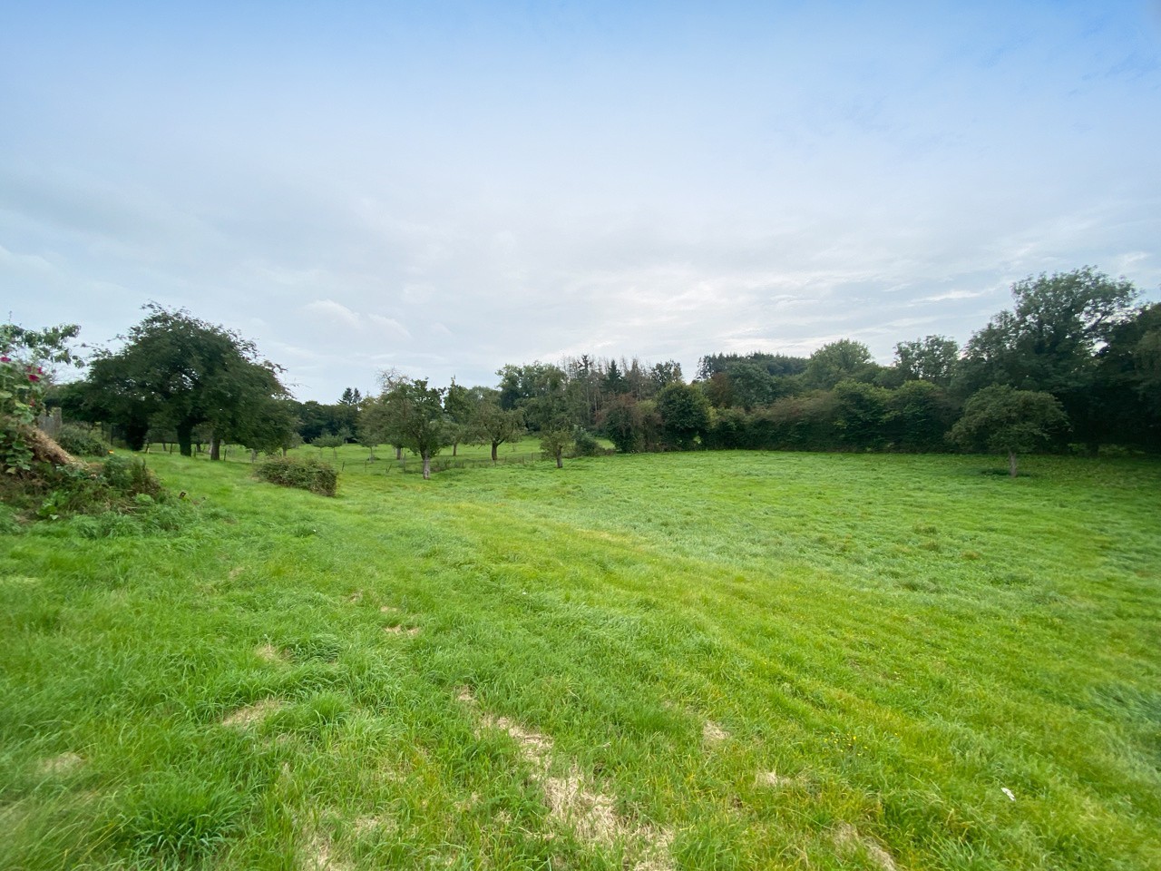 JOLIE PARCELLE DE TERRAIN CONSTRUCTIBLE