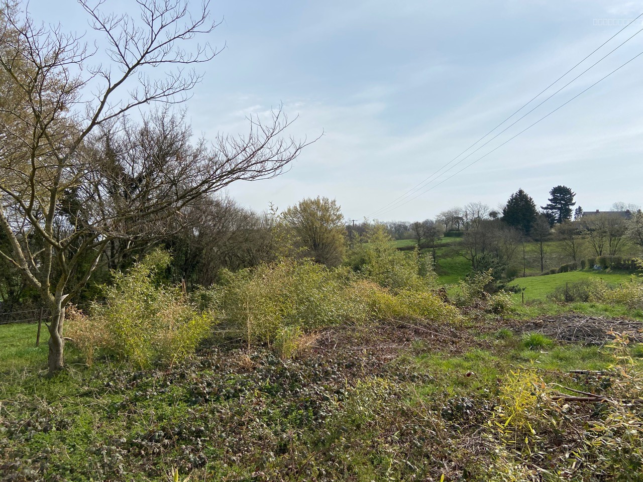 Terrain A Vendre Recquignies — photo 5