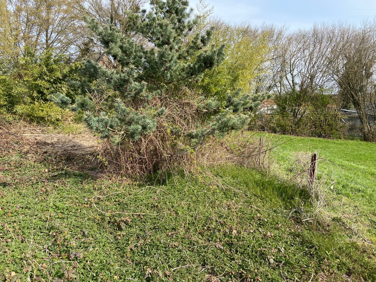Terrain A Vendre Recquignies — photo 3