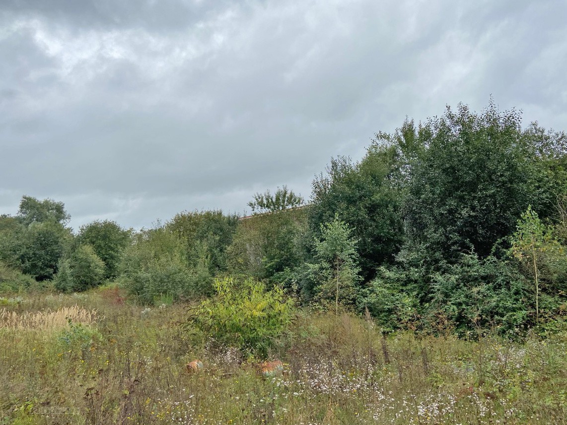 FRICHE sur 73 ares - POTENTIEL A EXPLOITER — photo 2