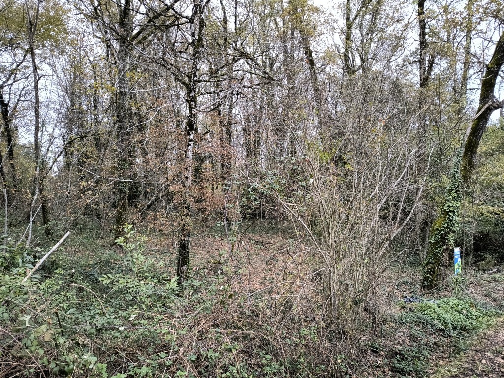 Terrain à bâtir, arboré — photo 6