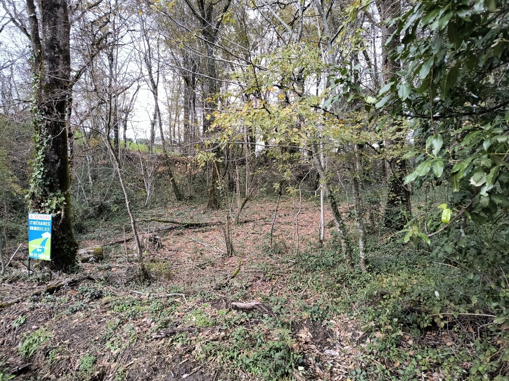 Terrain à bâtir, arboré — photo 2