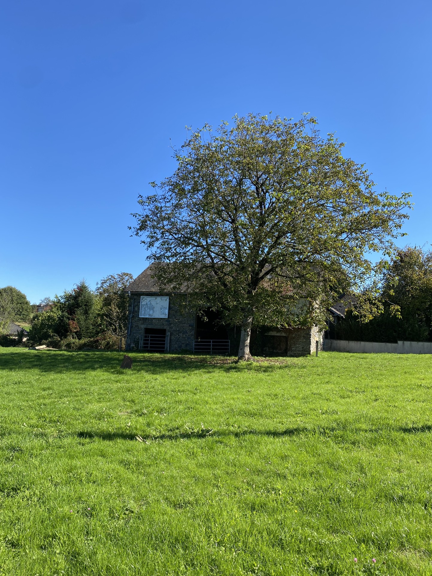 Beau terrain à bâtir — photo 2