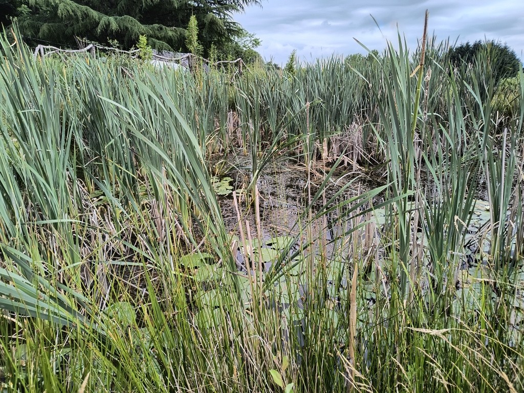 Très bel enclos pour amoureux de la campagne limitrophe villes et zones d'activités. — photo 13