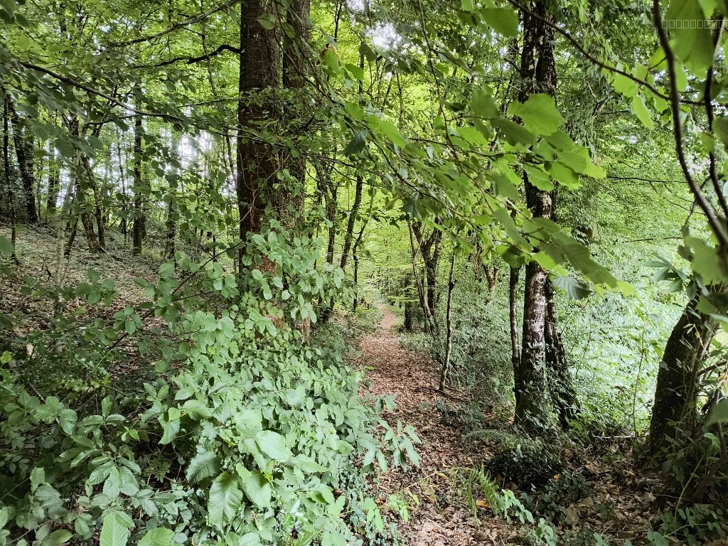 Très bel enclos pour amoureux de la campagne limitrophe villes et zones d'activités. — photo 15