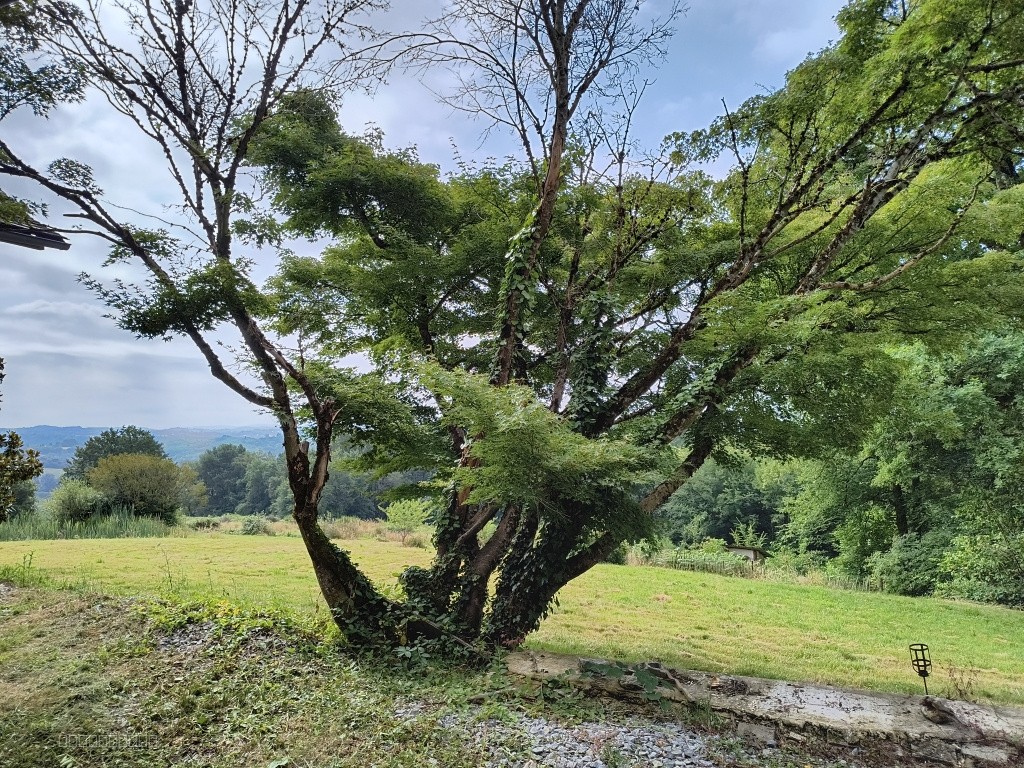 Très bel enclos pour amoureux de la campagne limitrophe villes et zones d'activités. — photo 6