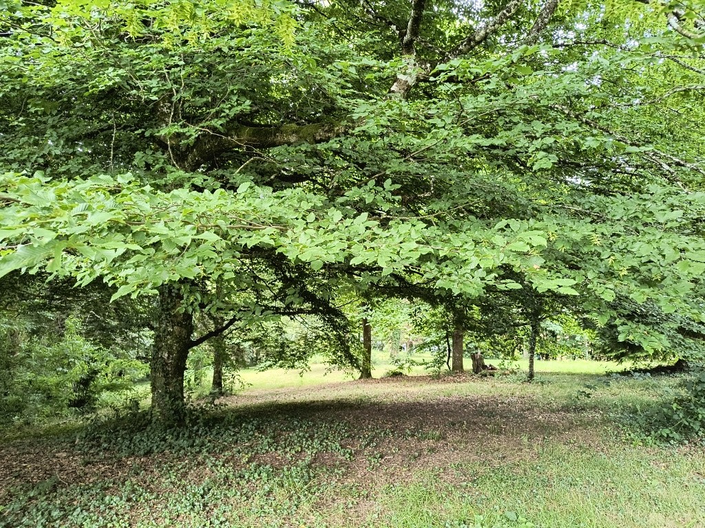 Très bel enclos pour amoureux de la campagne limitrophe villes et zones d'activités. — photo 8