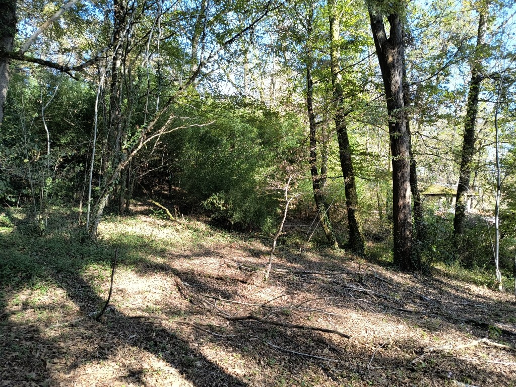 Terrain à bâtir, arboré — photo 4