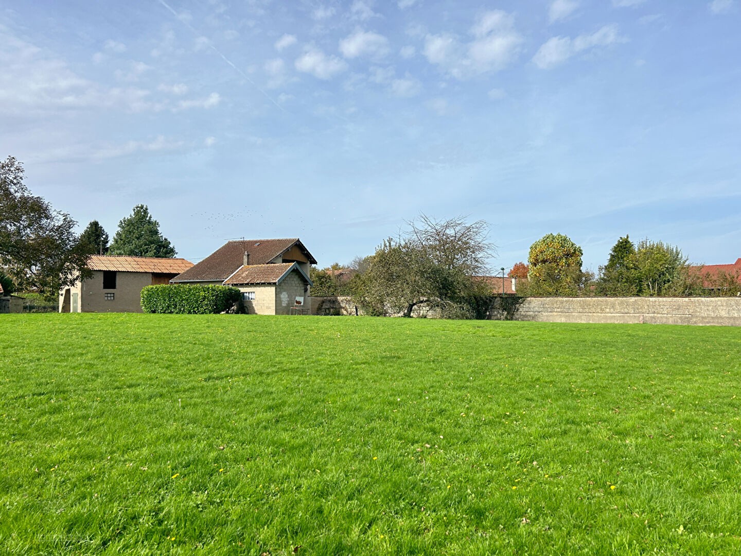 MAISON BRESSANNE AVEC ANNEXES SUR 3050 m2 DE TERRAIN — photo 2