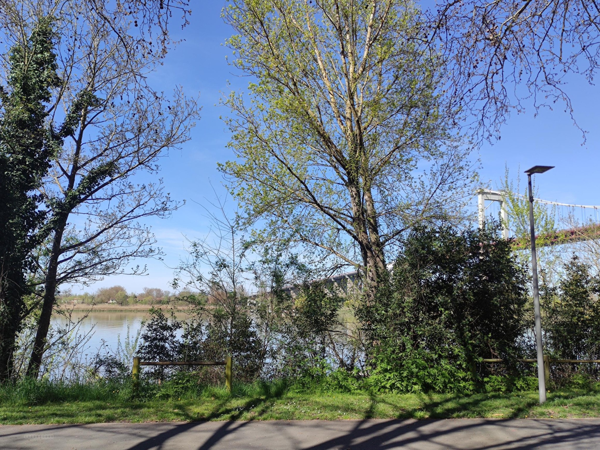 Ensemble immobilier de 8 appartements - Rive Droite — photo 2