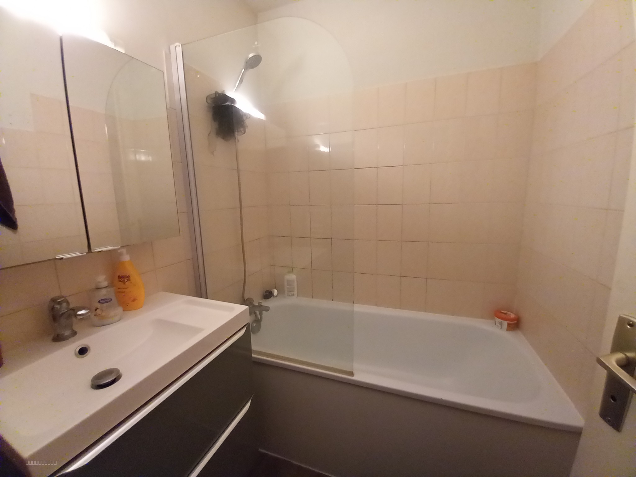 Ensemble immobilier de 8 appartements - Rive Droite — photo 10