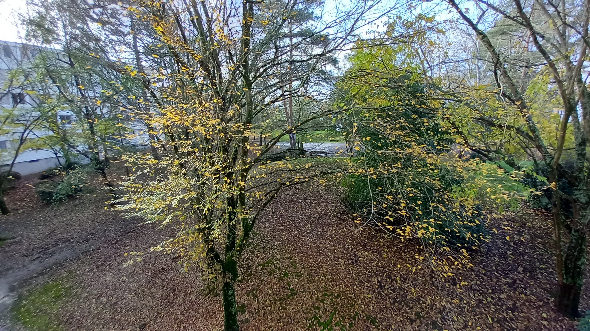 Appartement familial avec balcon au pied du tram — photo 7