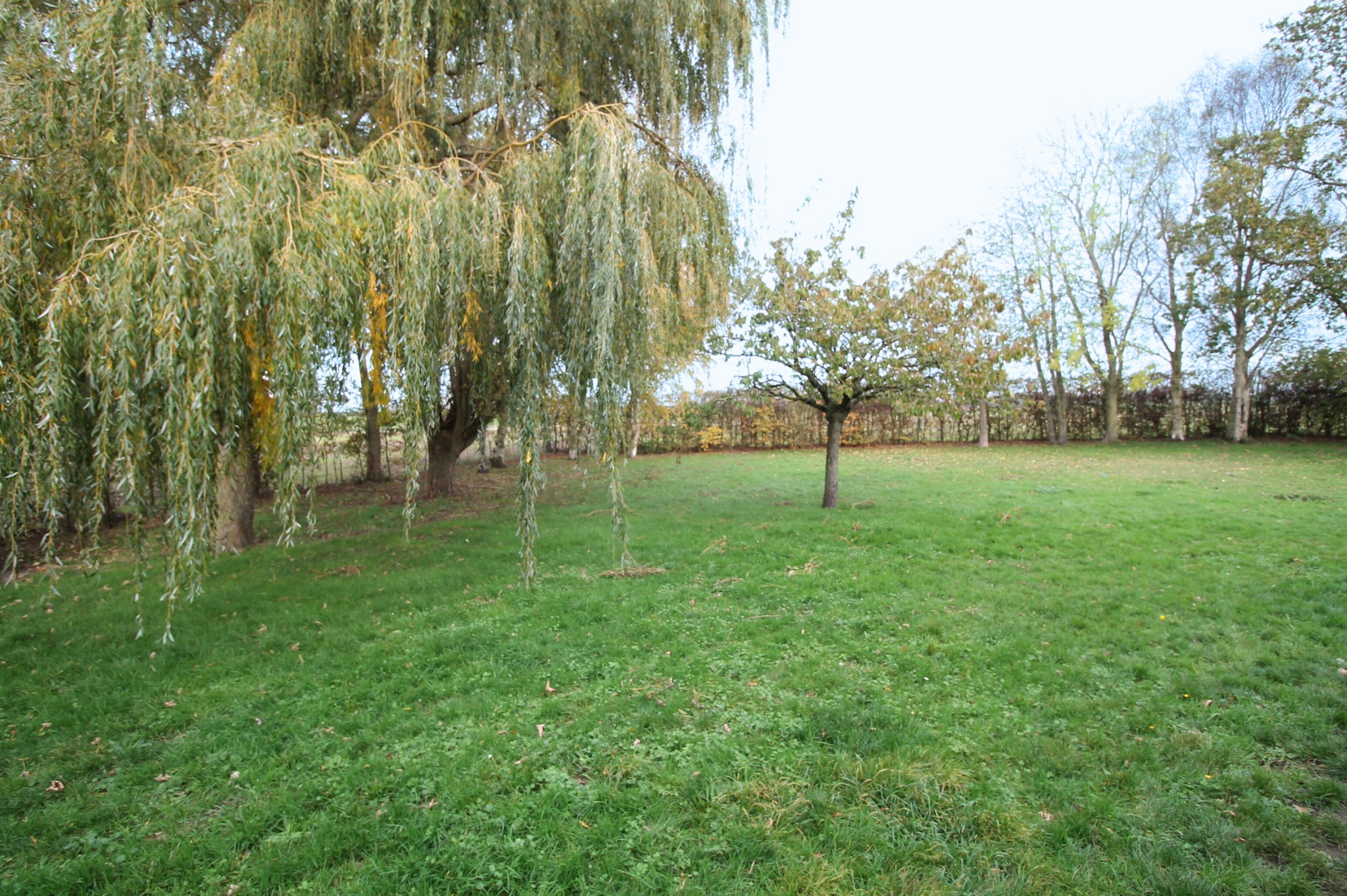 Maison au cœur de la campagne — photo 13