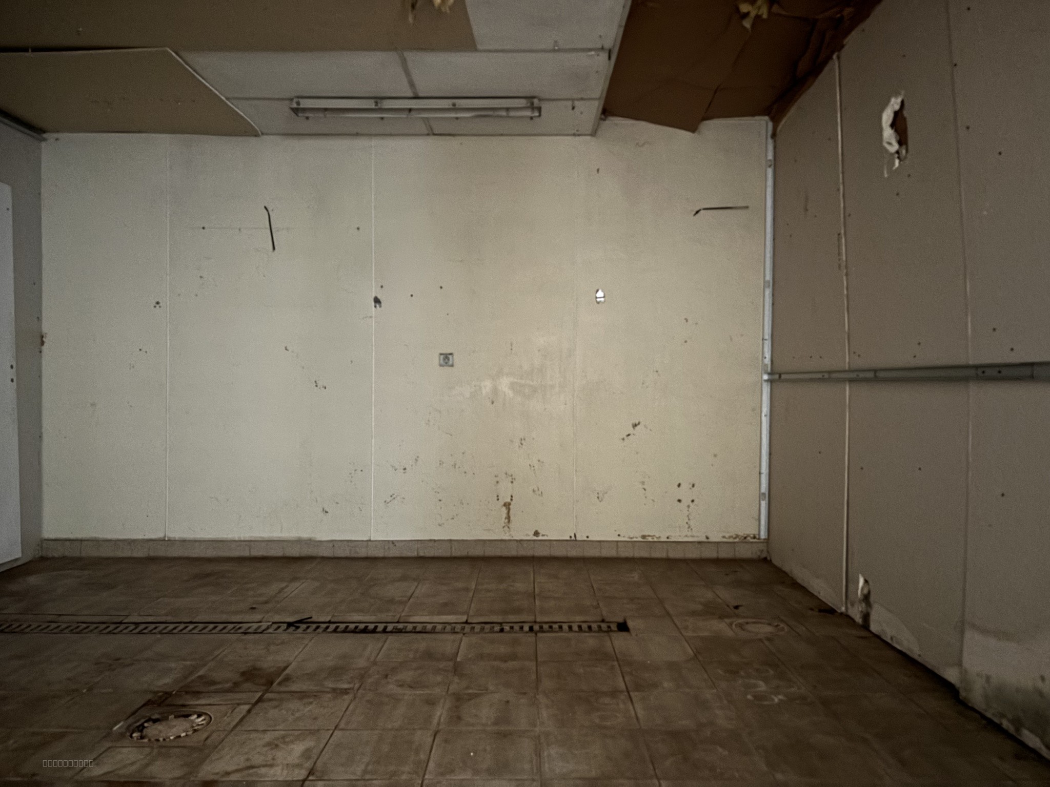 IMMEUBLE COMMERCIAL 215M2 RUE DE L'EPEULE — photo 4