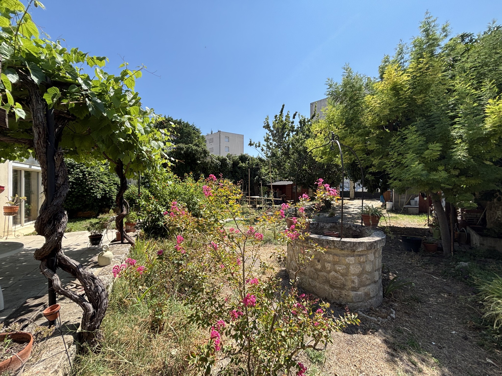 Maison — photo 4