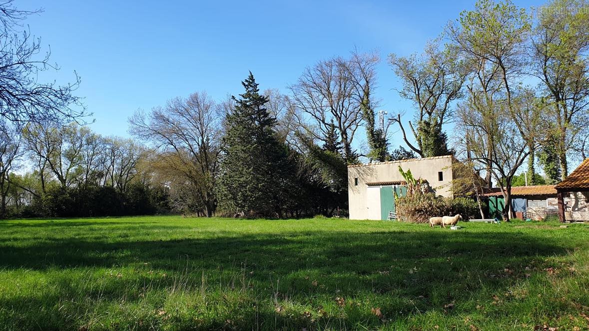 FONTVIEILLE MAS A RESTAURER EN CAMPAGNE PROCHE CENTRE VILLE — photo 3