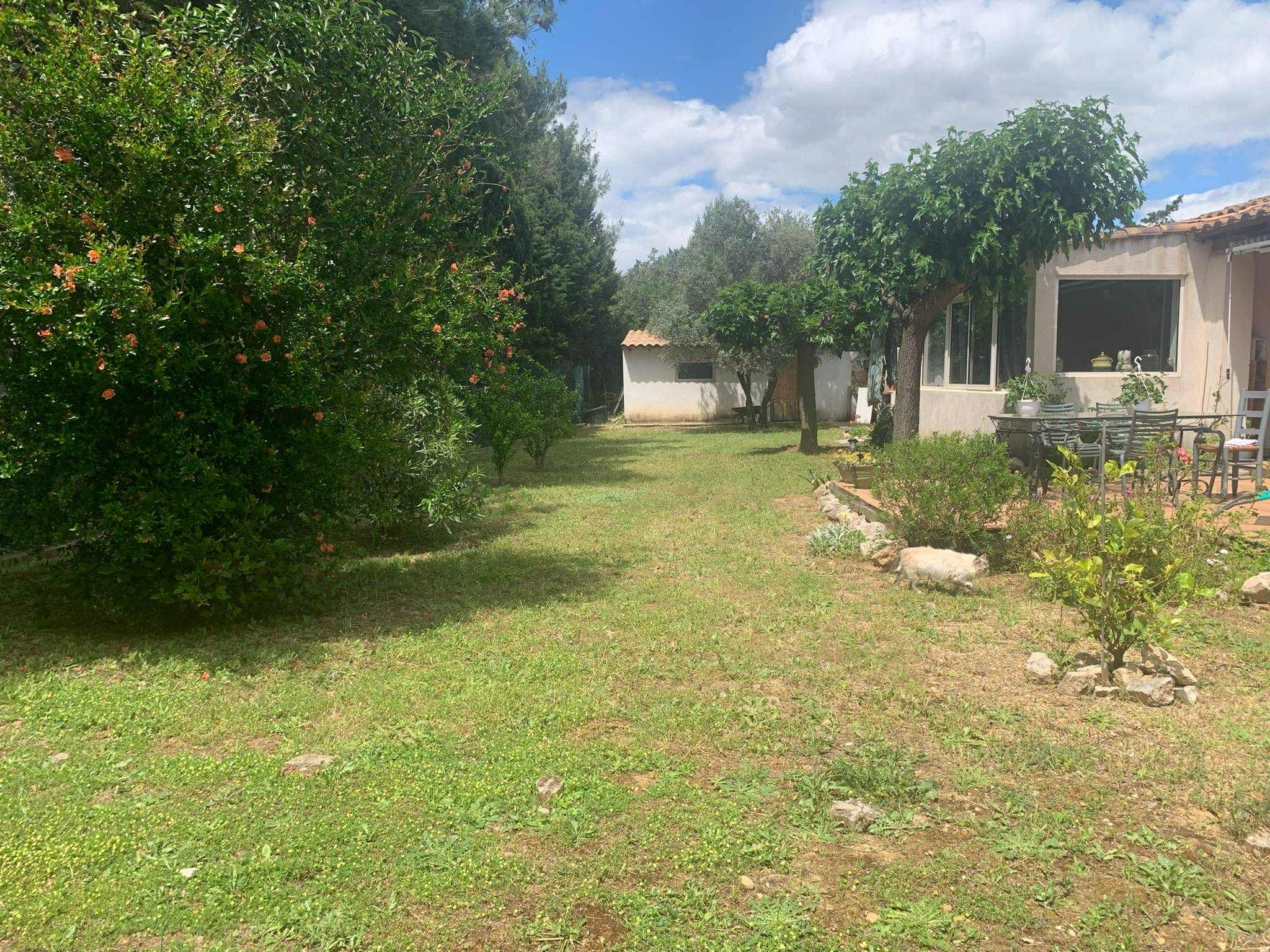 Villa plain pied — photo 2