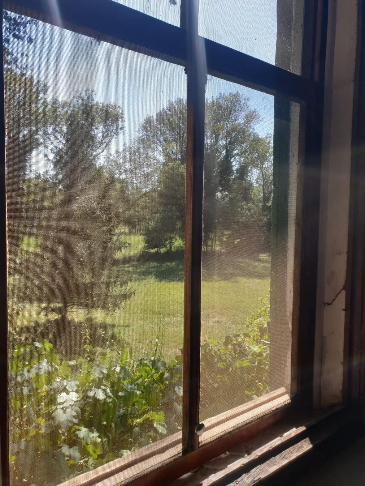 FONTVIEILLE MAS A RESTAURER EN CAMPAGNE PROCHE CENTRE VILLE — photo 9