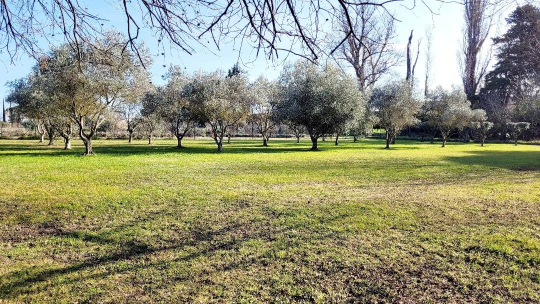 ORANGE SUD — photo 14