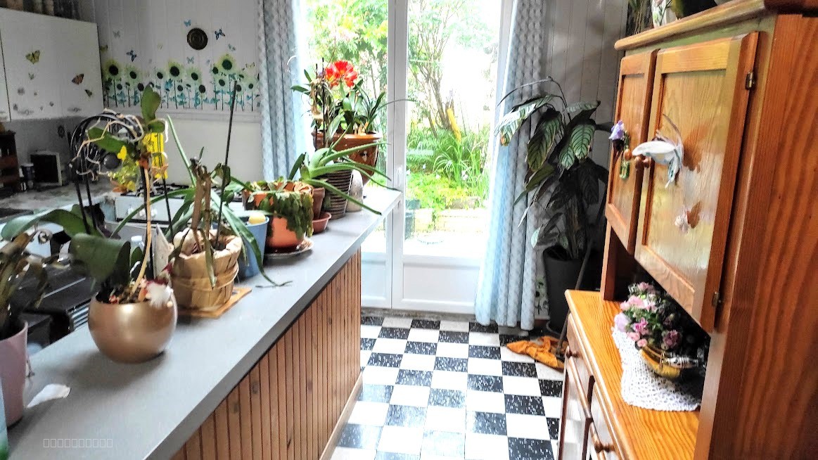 Saint-Omer, Gande maison de ville avec cour, 5 chambre en centre ville. — photo 4