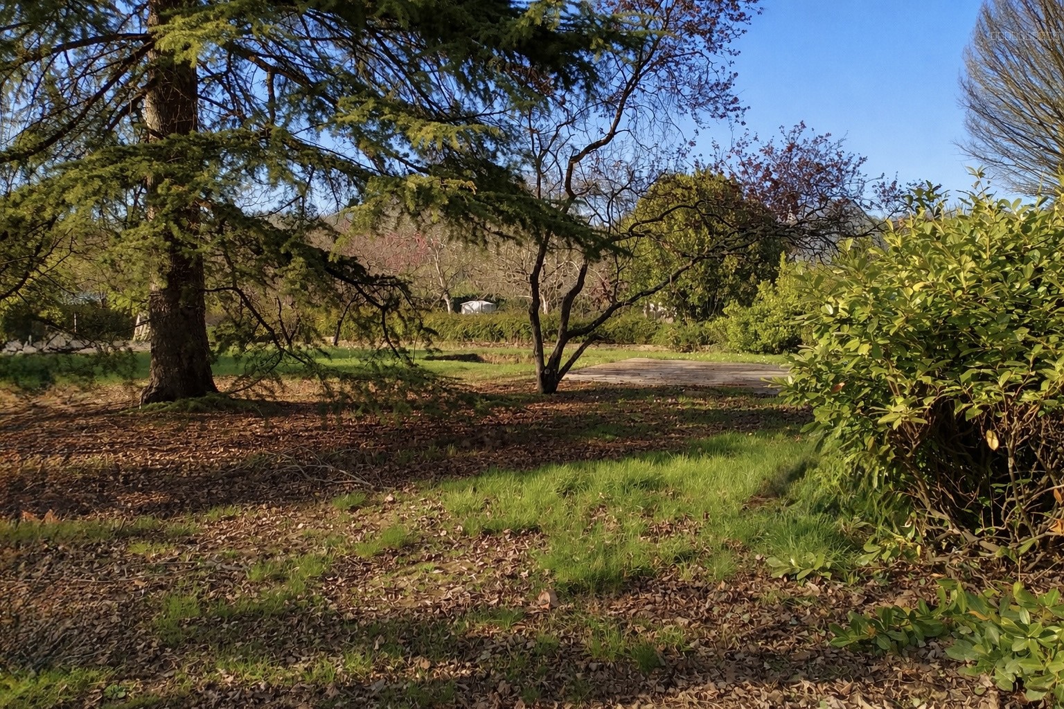 Terrain constructible de 785m2 - AMBOISE