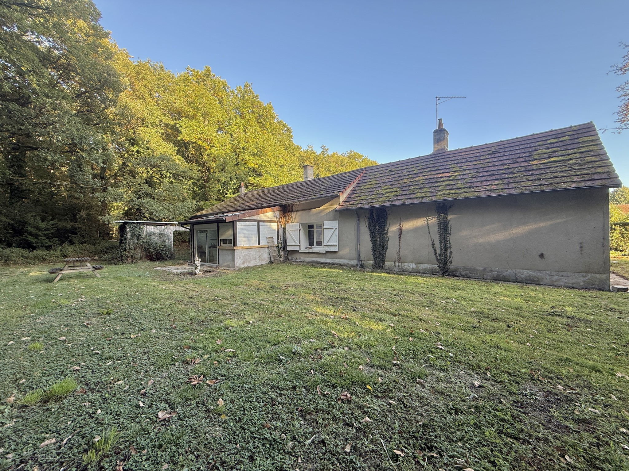 Maison de plain-pied   77 m2   Pontlevoy (41400) — photo 12
