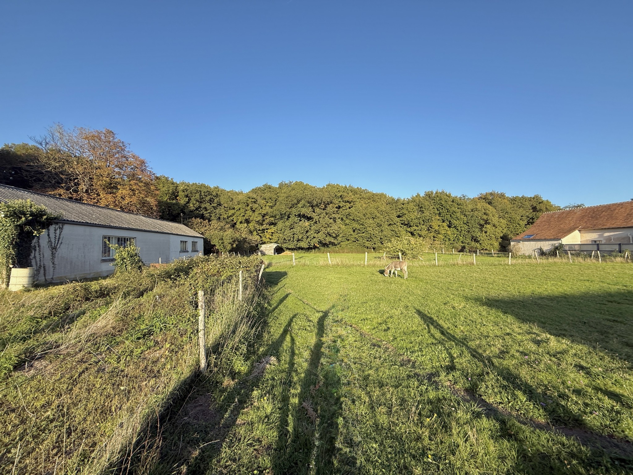 Maison de plain-pied   77 m2   Pontlevoy (41400) — photo 14