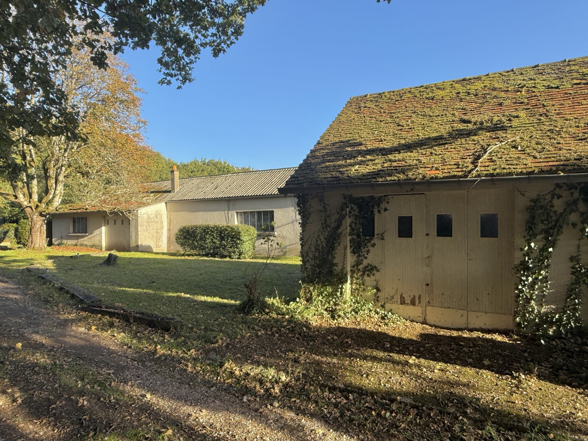 Maison de plain-pied   77 m2   Pontlevoy (41400) — photo 3