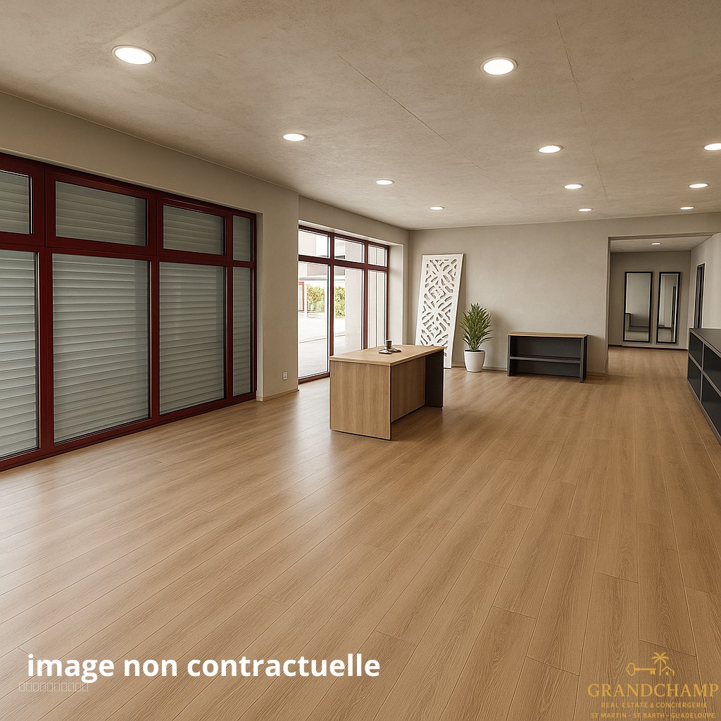 Villa à rénover ou projet Locatif haut rendement - CUL DE SAC — photo 2