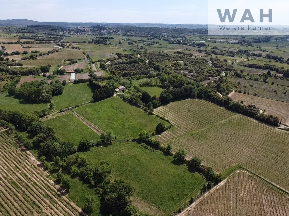 TERRAIN AGRICOLE DE 73 000M2 et  MAS 4 PIECES 145m2 34230 POUZOLS — photo 9