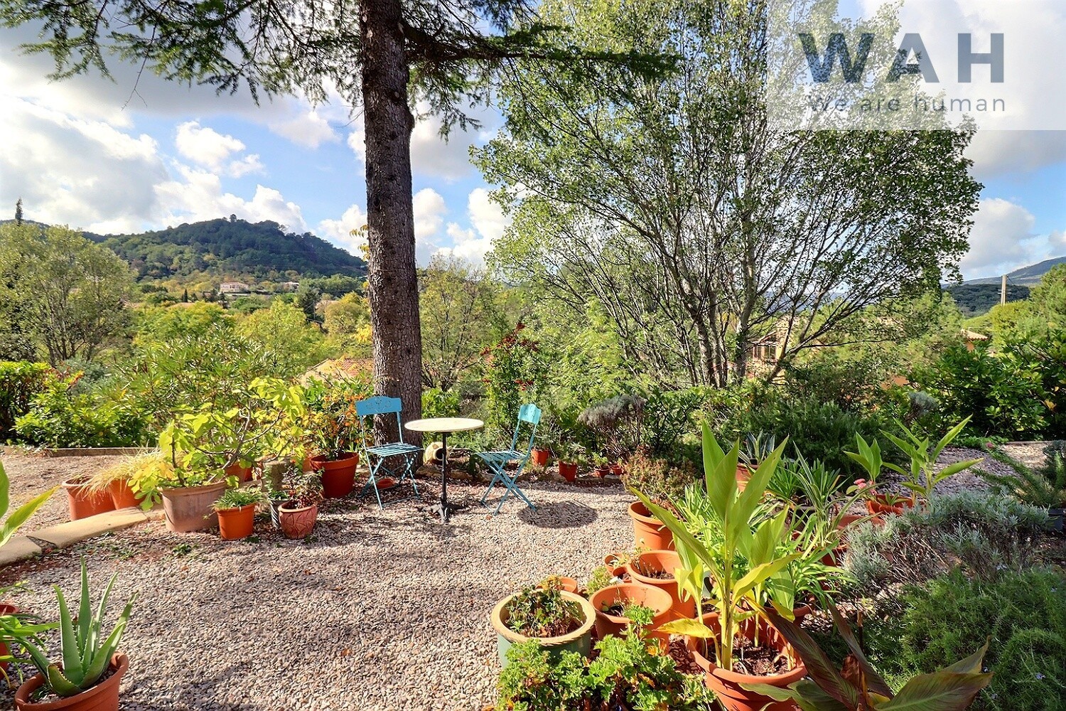 VENTE MAISON 7 PIECES 34700 LODEVE — photo 2