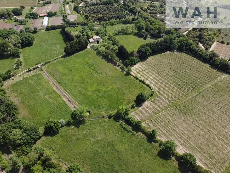 TERRAIN AGRICOLE DE 73 000M2 et  MAS 4 PIECES 145m2 34230 POUZOLS — photo 12