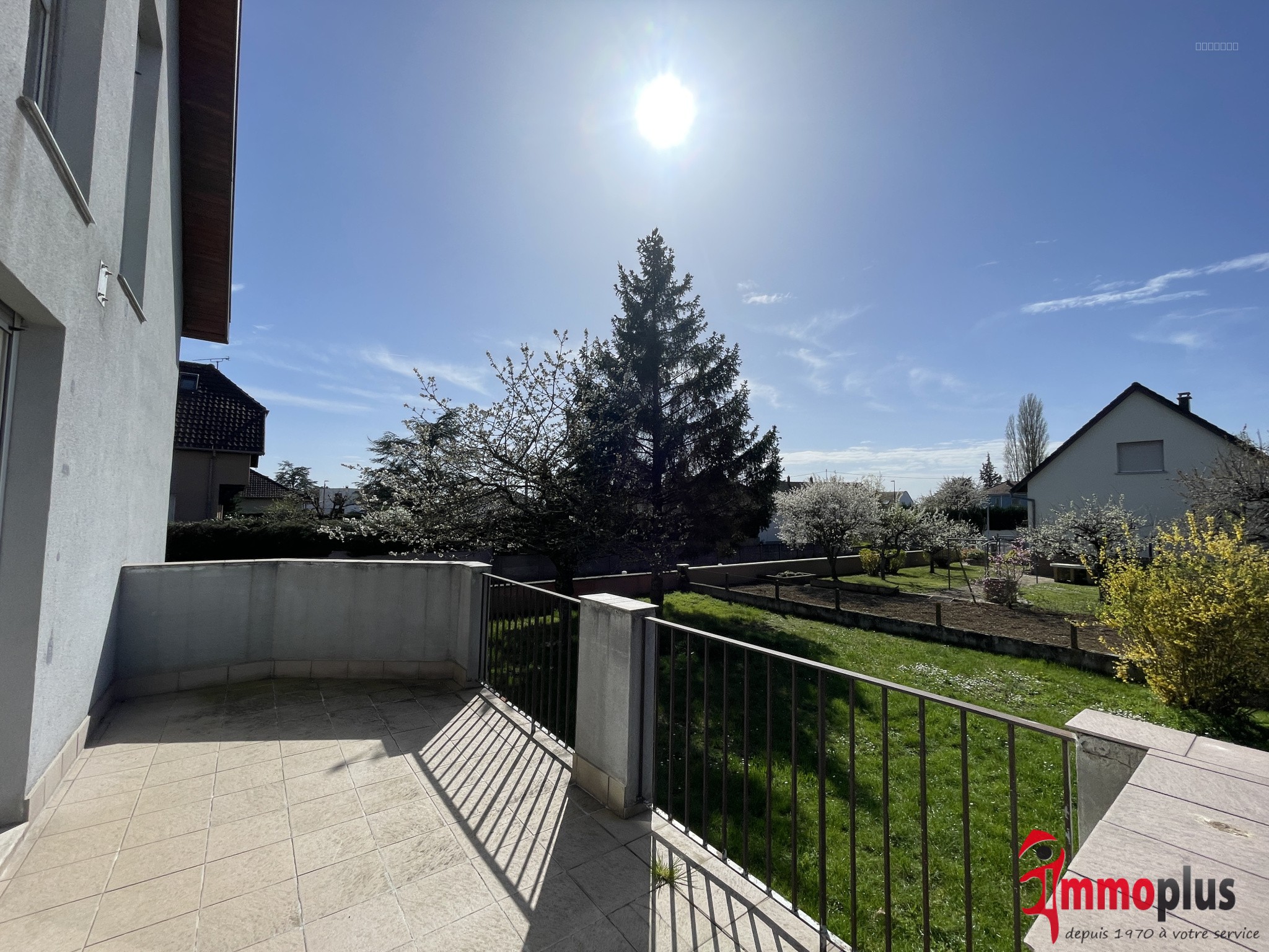 A LOUER MAISON 3 CHAMBRES BATTENHEIM GRAND JARDIN — photo 7