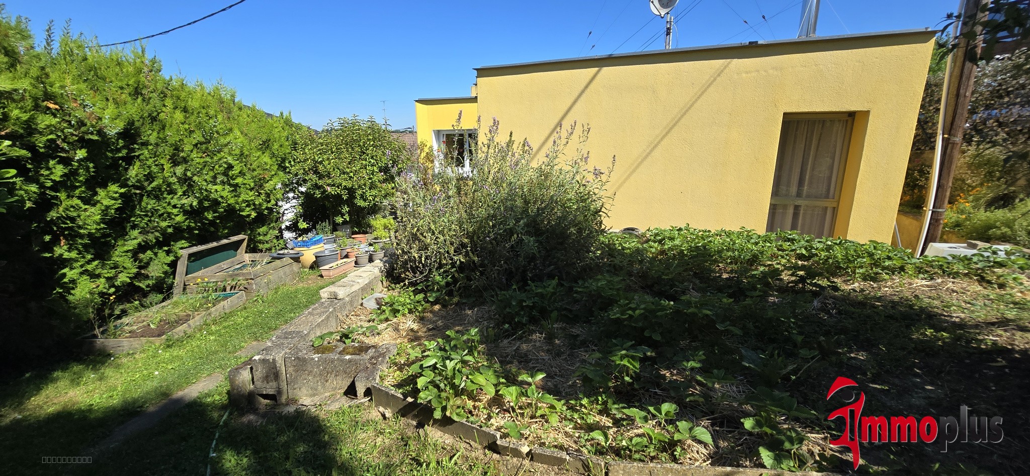 Charmante maison plain pied sur les hauteurs de Michelbach-le-Haut — photo 14