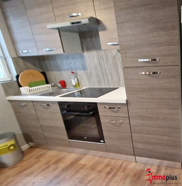 Maison type F2 avec grand jardin de 480m2 — photo 4