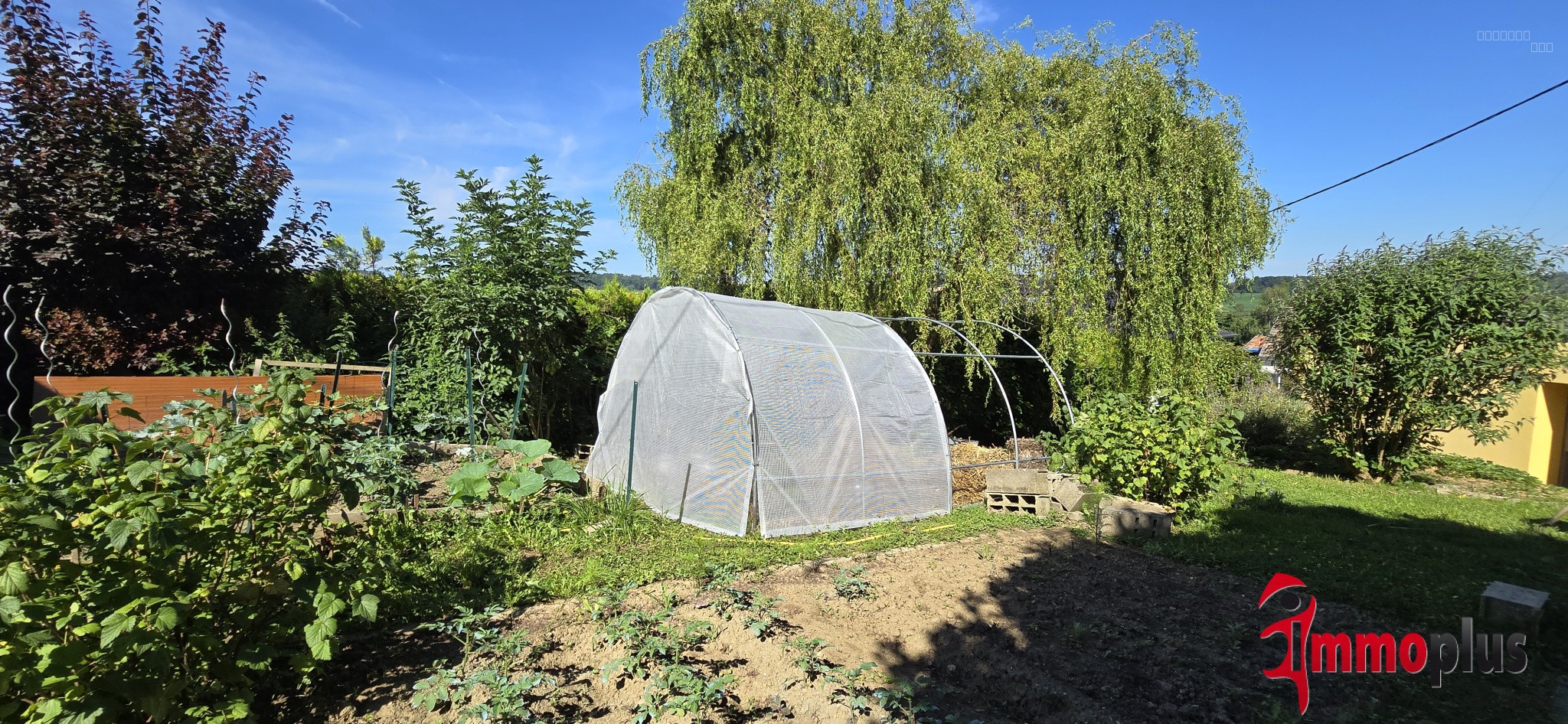 Charmante maison plain pied sur les hauteurs de Michelbach-le-Haut — photo 9