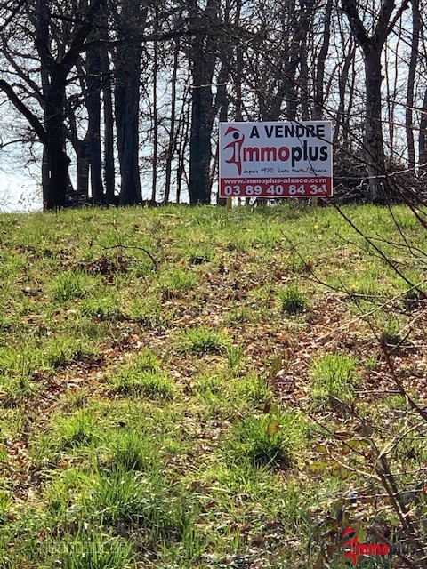 Opportunité terrain au calme à WUENHEIM — photo 4